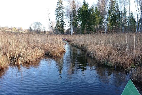 Поход на каноэ по водному пути на озерах Коорасте