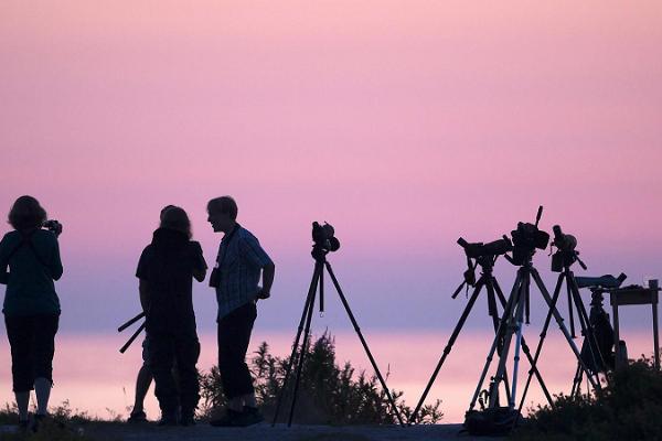 Birdwatching in Luitemaa