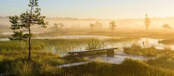 Soomaa national park, Visit Estonia