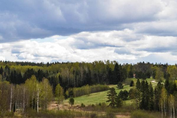 Hiking trail in the Rõuge Primeval Valley