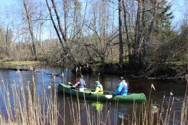 Canoe hikes at Linnumäe Nature Farm