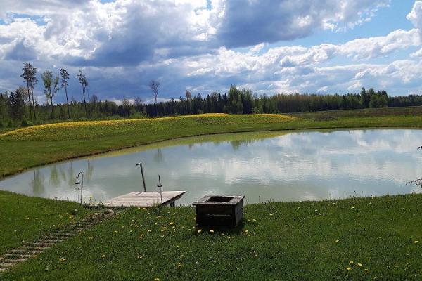 Sauna in Põnka