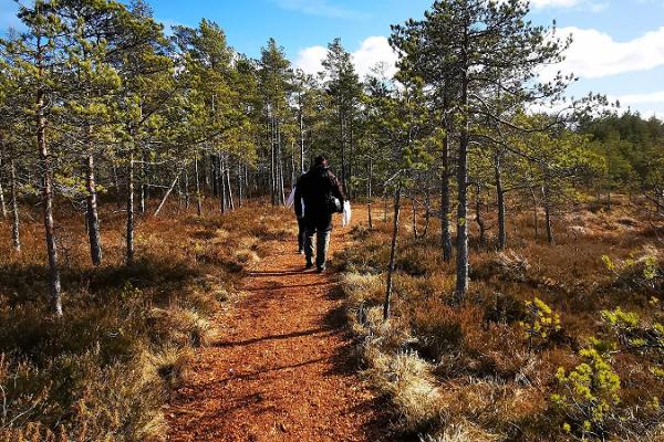 Mukri bog nature trail