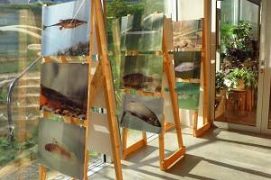 Выставки в Тартуском Доме природы
