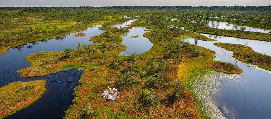 Estonian mires, bogs, wetlands, Visit Estonia