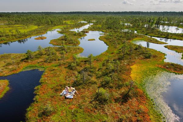 Estonian mires, bogs, wetlands, Visit Estonia
