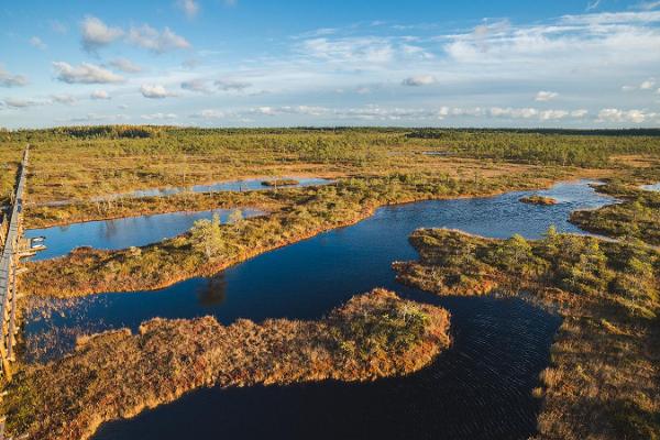 Snowshoe hike in Endla bog