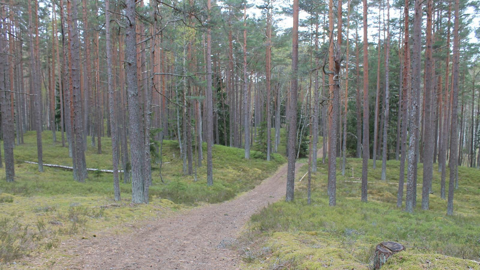 RMK Leemeti hiking trail