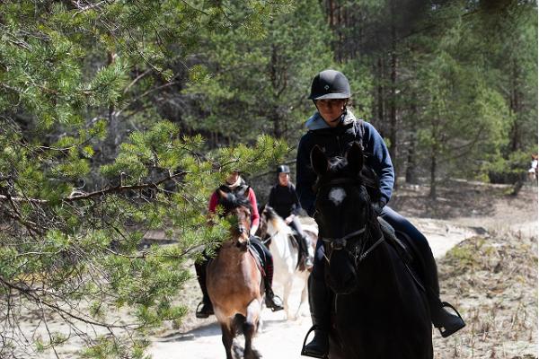 Wanderreiten und Reitlager für alle Niveaus am Pferdestall Juurimaa