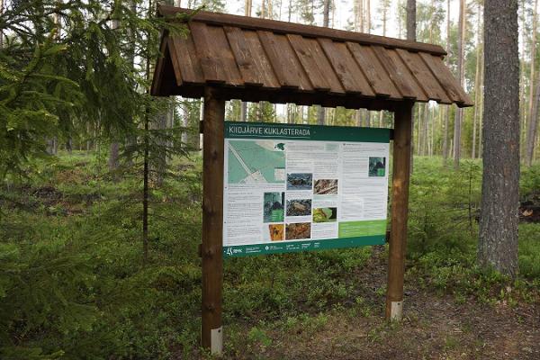 Wood Ants' Trail of Kiidjärve