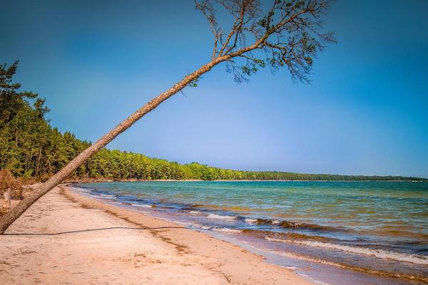 Tõrvanina strand och tältplats