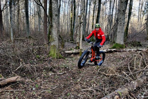 Adventure with electric fatbikes in Tallinn and Harju County