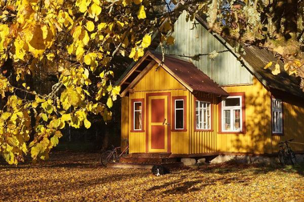 Nedsaja Forest Hut