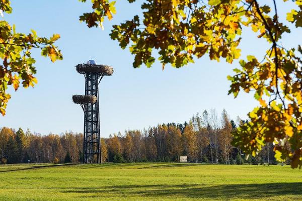 ‘Living on the Edge’ tour. Pesapuu watchtower in Rõuge that looks like a nest