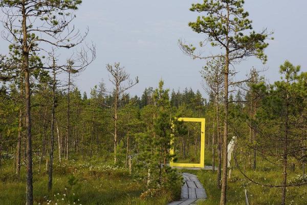 The ‘Living on the Edge’ tour and beautiful Valgesoo bog study trail