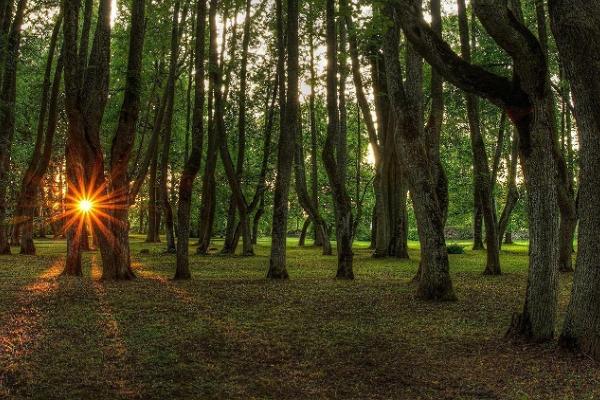 Luke mõis ja mõisapark