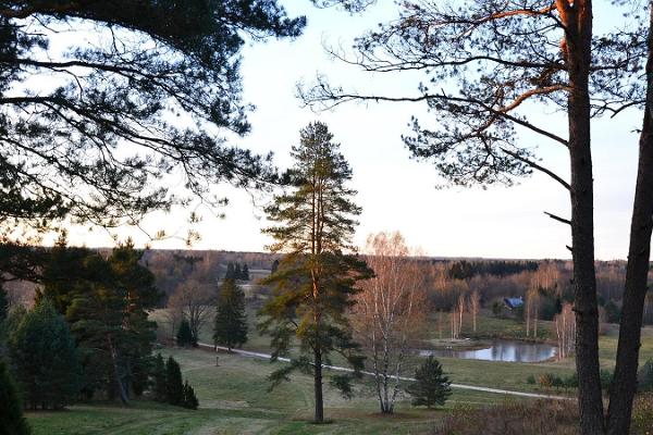 Discgolfparken i Paluküla