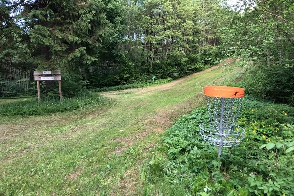 Disc golf in Paluküla