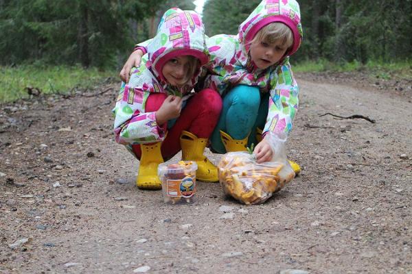 "Nature Tours Estonia" ogu un sēņu pārgājieni Peipsivēres dabas rezervātā