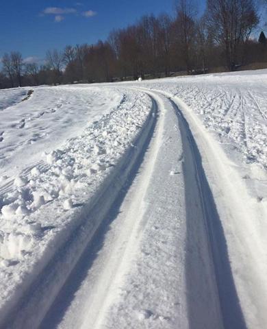 Tähtvere skiing tracks
