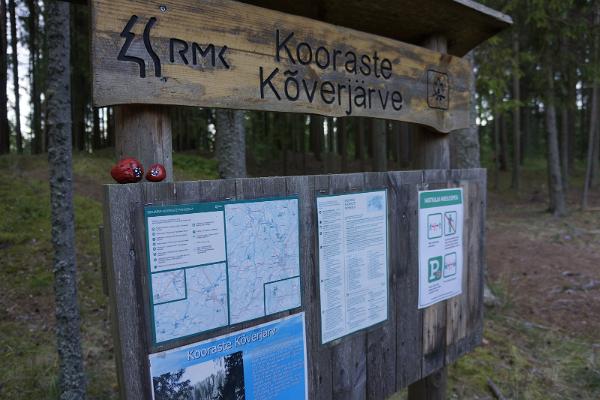 Велосипедная тропа Коорасте Центра управления государственными лесами