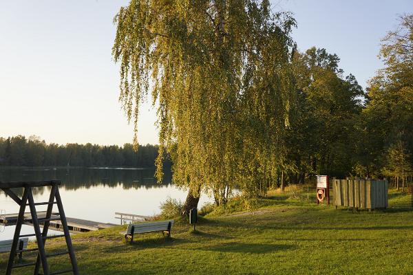 Kiidjärven ranta