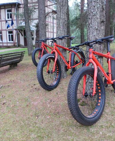 Rental of fatbikes and bicycles at Verevi Motel
