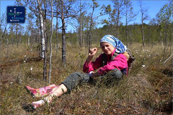 Nature Tours Estonia – Moorschuhausflug zu den Moorinseln des Naturschutzgebietes Peipsiveere