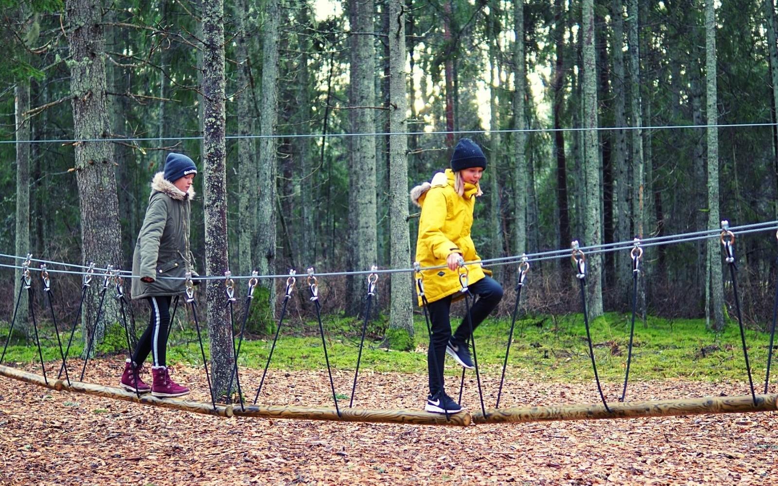 Pühalepa madalseiklusrada