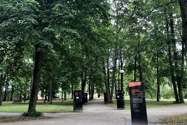 Toomemäe park (Dombergets park)