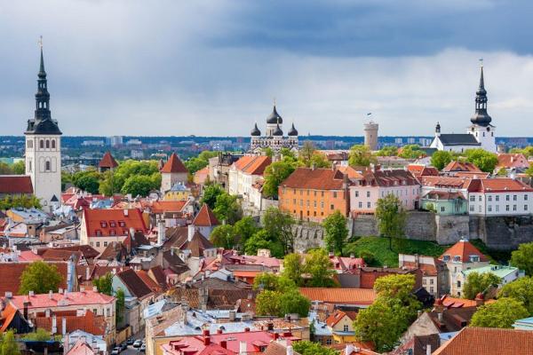 Guided walk in Tallinn Old Town and car tour in the Kadriorg–Pirita region