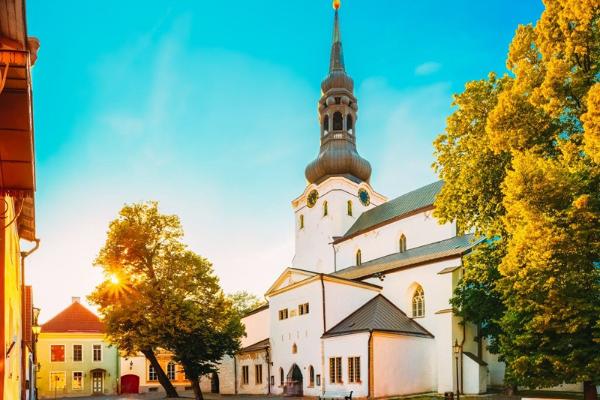Rundtur till fots i Tallinns gamla stad med tur och retur transfer från hamnen eller hotellet