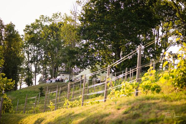 Estnischer Weinbau und Workshops auf der Plantage