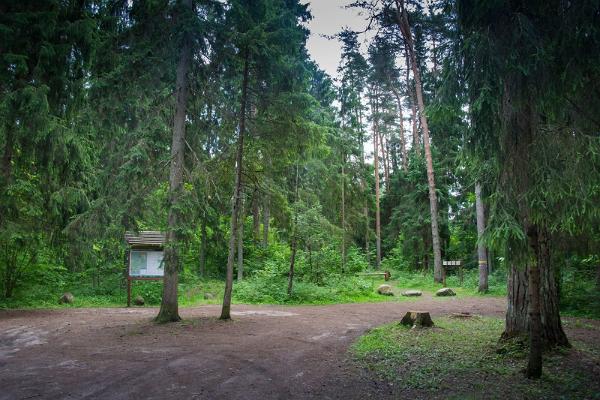 Kinderwanderweg in Vapramägi