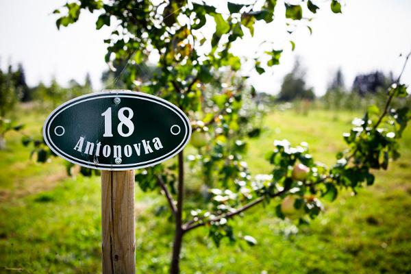 Apfelgeruch und Kulturgeschichte auf dem Bauernhof Piesta Kuusikaru im Vändra-Wald im Kreis Pärnu