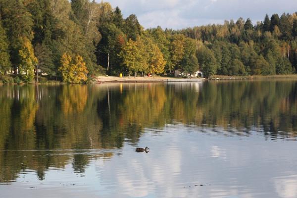 Pühajärven puisto