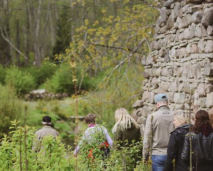Giidiga jalgsituur Tallinna ajaloolises vanalinnas