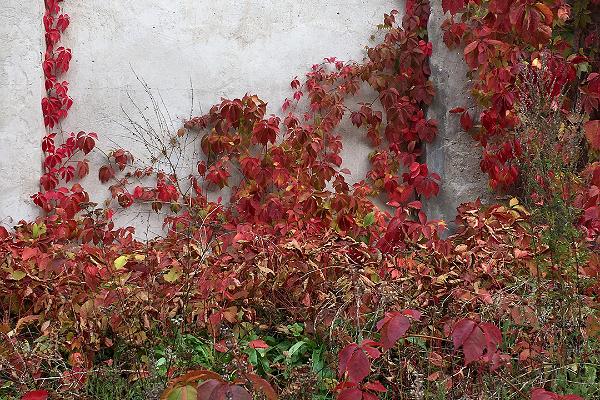 Giidiga ringkäik Kolga mõisa radadel