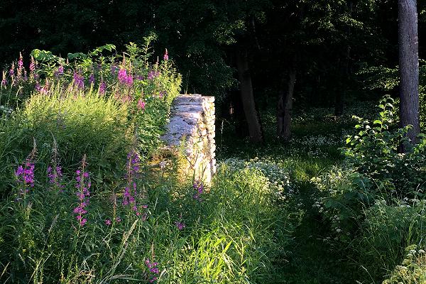 Giidiga ringkäik Kolga mõisa radadel