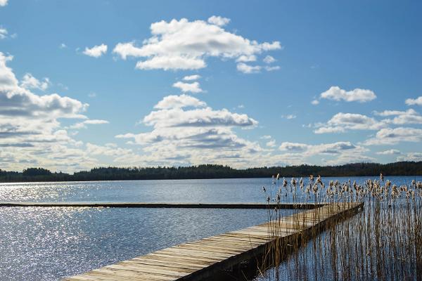 Hiking trails at Lake Kirikumäe