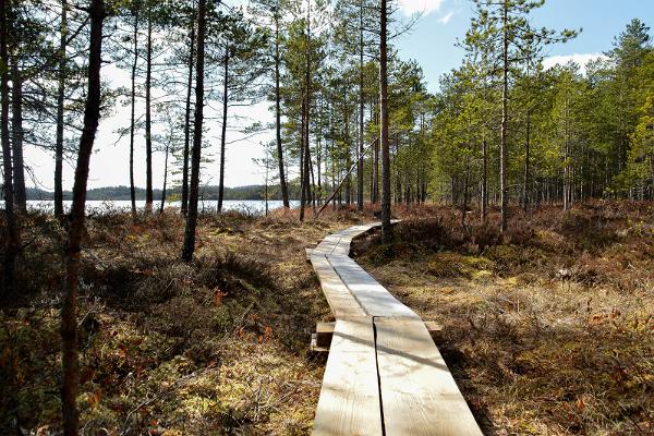 Hiking trails at Lake Kirikumäe