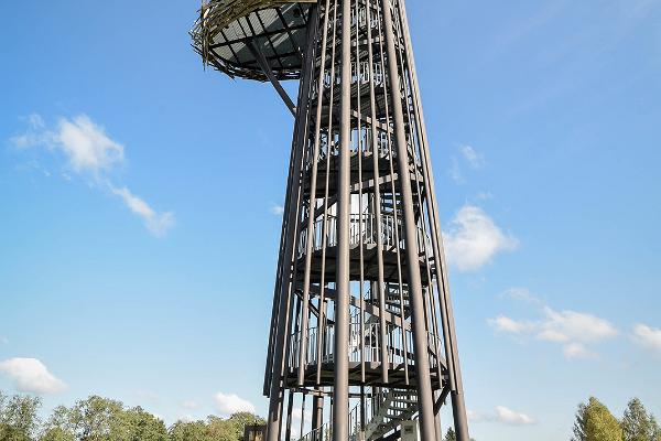Смотровая башня Pesapuu