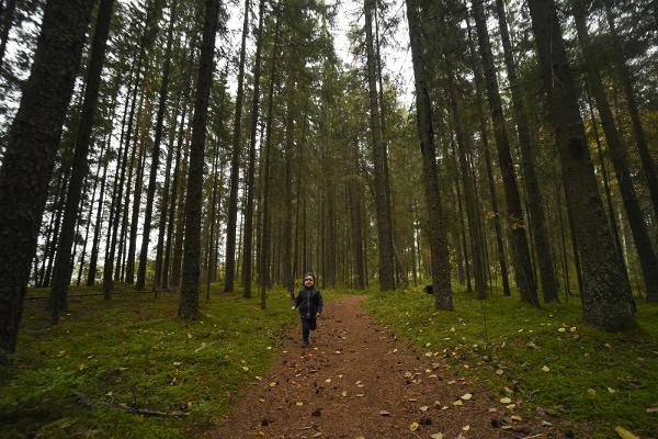 Wanderweg von Pullijärve