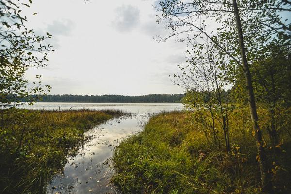 Wanderweg am Kisejärve-See