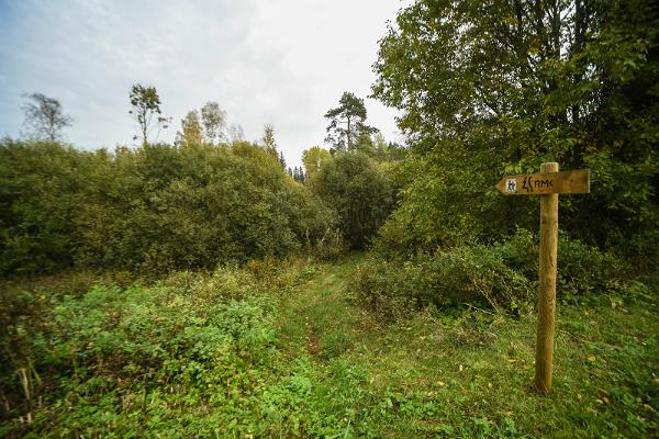 Kisejärve vandringsled