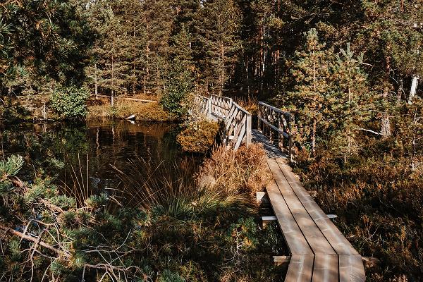 RMK Nigula raba õpperada ja vaatetorn