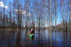 Seikle Vabaks fifth season kayaking trip in Soomaa National Park