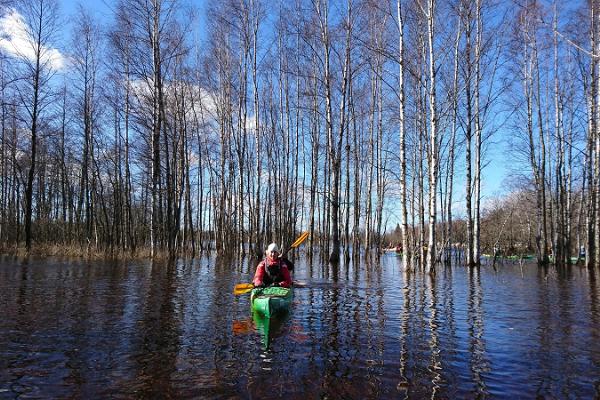 Seikle Vabaks fifth season kayaking trip in Soomaa National Park