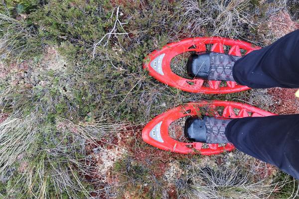 Moorschuhwanderung von "Seikle Vabaks" im Hochmoor Rääma