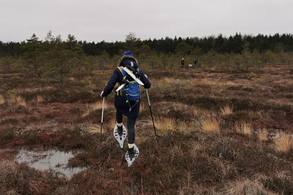 Bogshoeing in Rääma bog by Seikle Vabaks